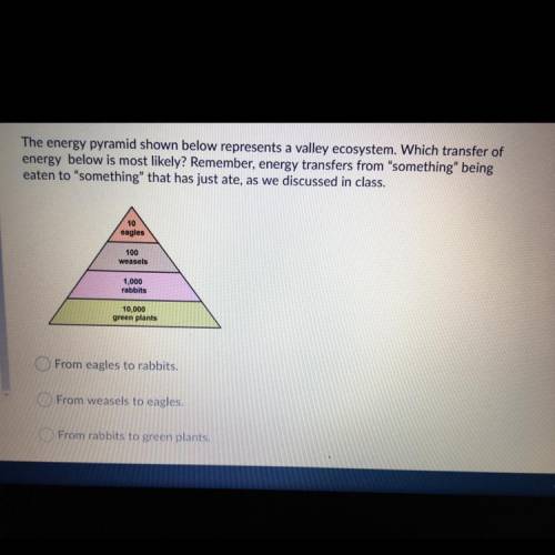 The energy pyramid shown below represents a valley ecosystem. Which transfer of energy below is most