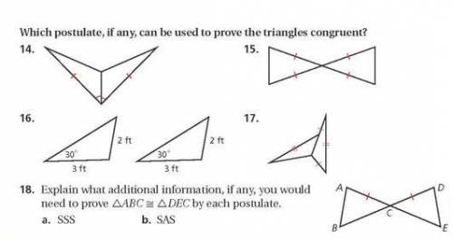 IM TAKING A QUIZ! HURRRRRRYYYYYYWhat is 14,16,and 18?