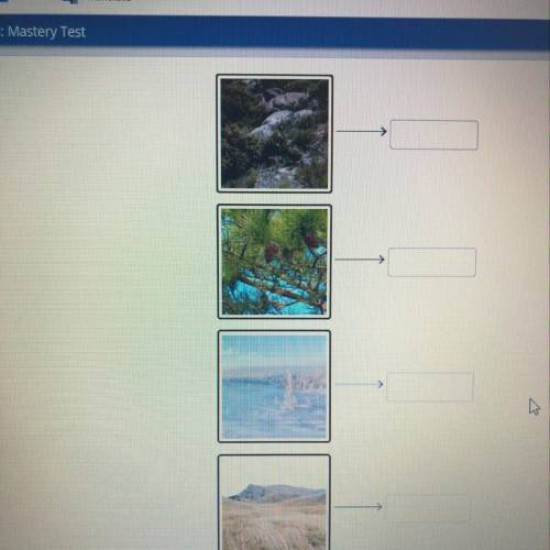 Drag the tiles to the correct boxes to complete the pairs. Match each image to its type of biome. 1.