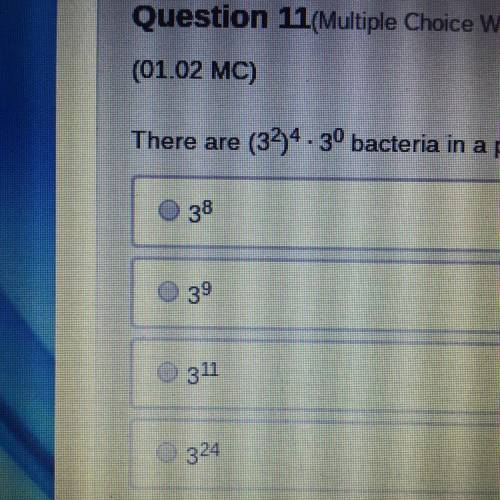 There are (3^2) ^4 • 3^0 bacteria in a Petri dish. What is the total number of bacteria in the dish?