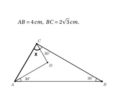 I really need a lot of help with this question. Answer step by step and well and explain every concl