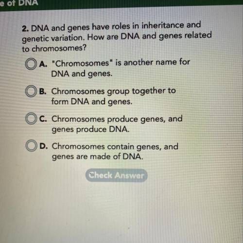 How are dna and genes related to chromosomes?