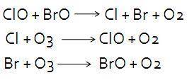 The following is a chemical reaction for _______ with ozone.a.chlorofluorocarbonsb.halonsc.UV radiat