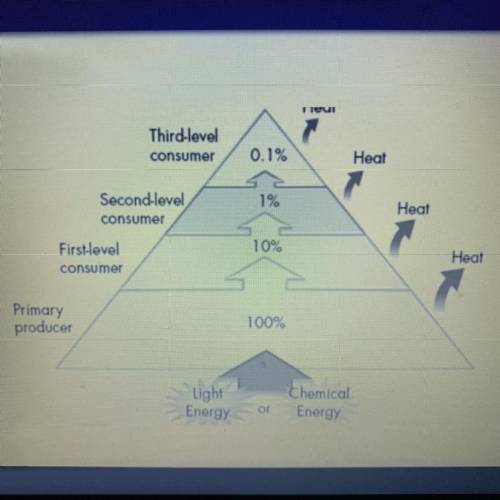 PLS HELP! WILL GIVE BRAINLIST! why are there usually so few organisms at the top level of a pyramid