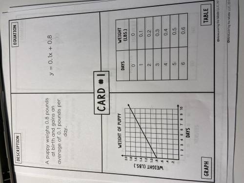 Linear relationships four corners recording sheet. On each card, one of the four representations is