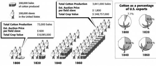 After the cotton harvest, workers had to carefully separate the plant's sticky seeds from the cotton