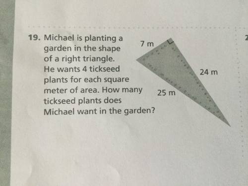 Michael is planting a garden in the shape of a right triangle. He wants 4 tickseed plants for each s