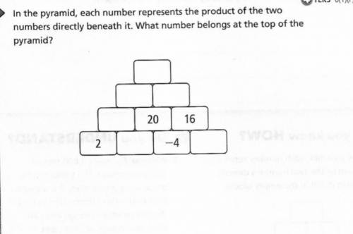 Help me step by step serious answers please