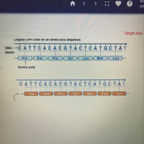 The mutation below is best described as a  A. nonsense mutation  B. missense mutation  C. point muta