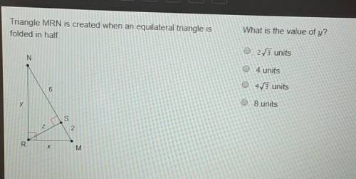 What is the value of y?