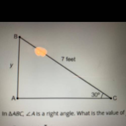 What is the value of y?