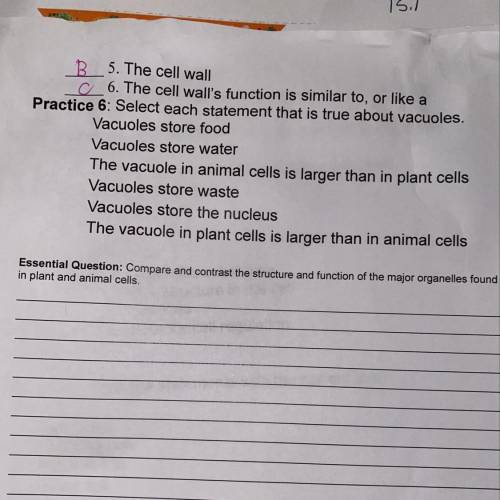 Practice 6: Select each statement that is true about vacuoles. Vacuoles store food Vacuoles store wa