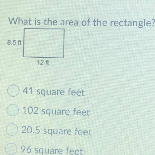 What is the area of the rectangle ?