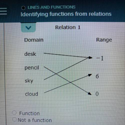 Can some one help me identify if this a function or not?