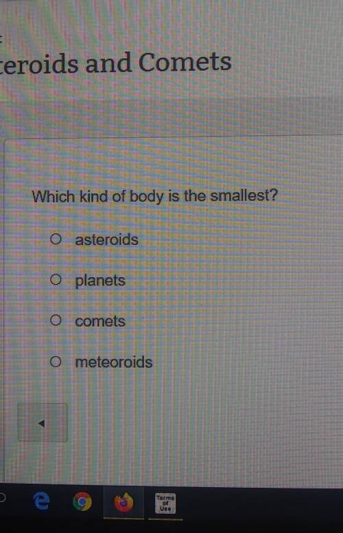 Which kind of body is the smallest?