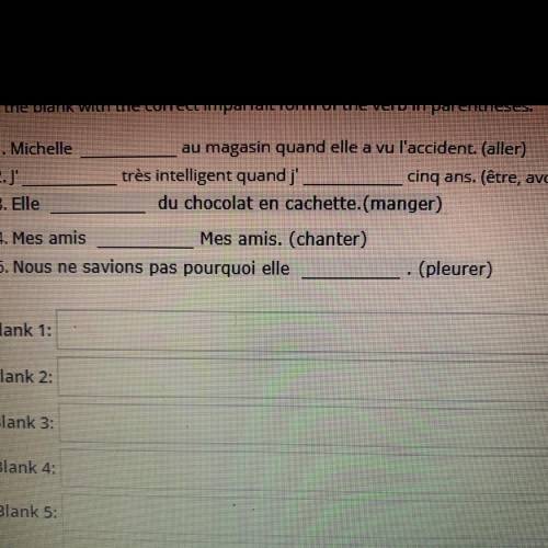 Fill in the blanks with the correct imparfait form of the verb in the parentheses.