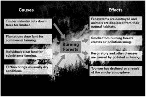 Subsistence farming does not contribute to forest fires. Please select the best answer from the choi