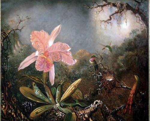 Describe the texture of the artwork “Cattleya Orchid and Three Hummingbirds by Martin Johnson Heade”