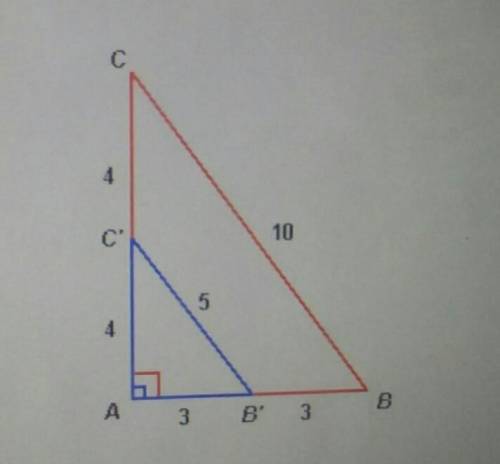 *WILL MAKE BRAINLIEST* What is the scale factor of this dilation?a) 1/5b) 1/2c)1d) 2