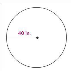 Find the circumference of the circle. Round to the nearest tenth.