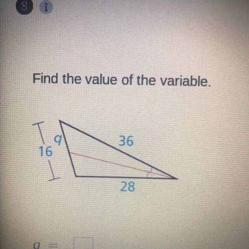 Find the value of the variable