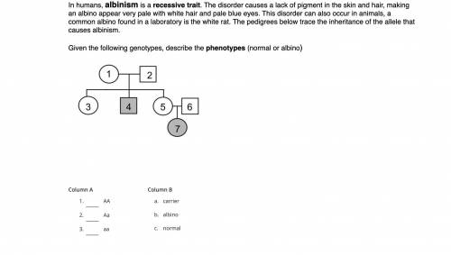 Can someone help me with this? Thank you :)