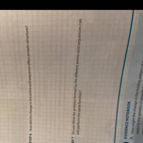 Step 6, How did the change in the amino acid sequence affect protein structure? Step 7, Do you think