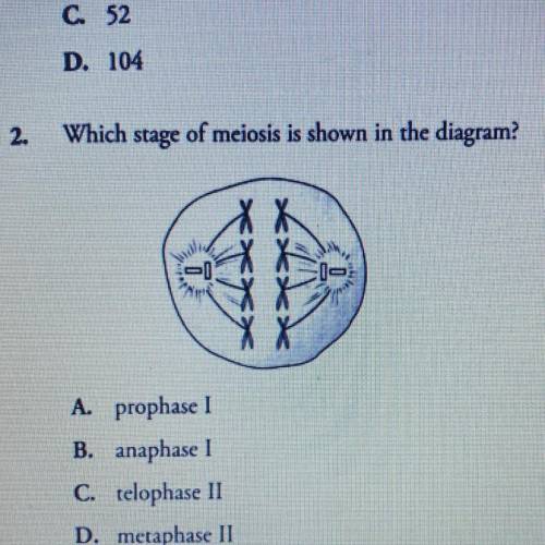 2. Which stage of meiosis is shown in the diagram? A. prophase I B. anaphase I C. telophase II D. me