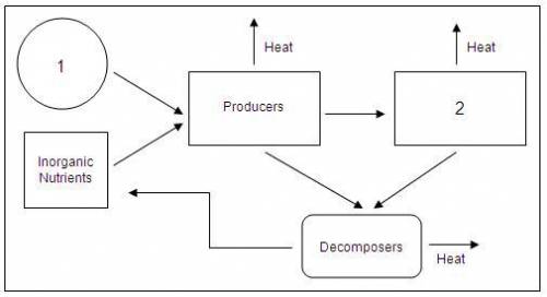 In the following diagram of the energy flow in an ecosystem, what does symbol 1 represent?  A. sunli