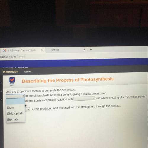 Instruction Active Describing the Process of Photosynthesis Use the drop-down menus to complete the