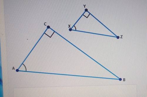 Triangle XYZ was dilated by a scale factor of 2 to create triangle ACB and sin 2X =5.59Part A: Use c