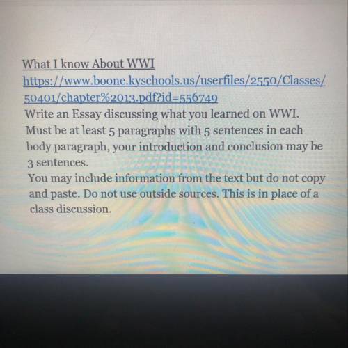 Someone wanna do an essay over WW1 for me