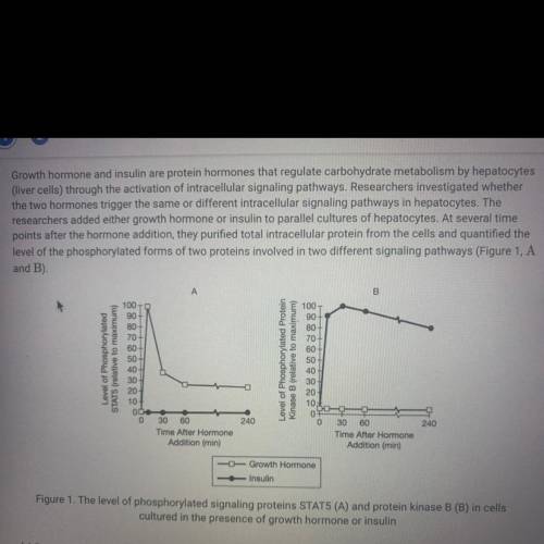 (d) The researchers claim that the similar regulation of carbohydrate metabolism by hepatocytes when