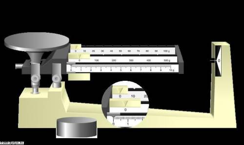 Determine the mass of the object below to the correct degree of precision. 433.0 g 433.45 g 433.40 g