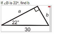 Whats the answer please help