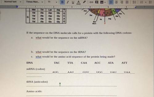 Please help! It has to do with RNA, and tRNA