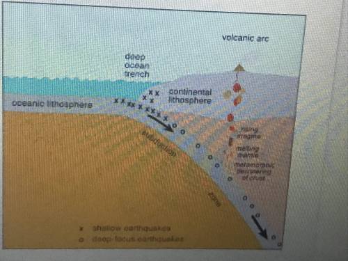 In your own words, please explain why does the ocean crust sink? (Note- The image below should be ab