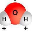 Which part of the molecule has a partial positive charge? Which part has a partial negative charge?