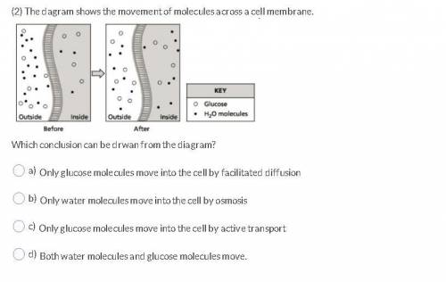 Which conclusion can be drawn from the diagram?