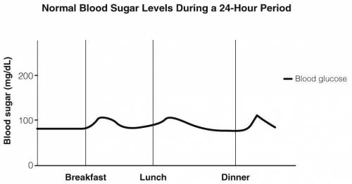 The graph shows how the normal levels of blood sugar change during the day. Meals increase the amoun