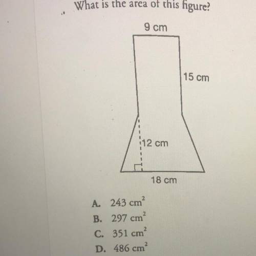 What is the area of this figure?