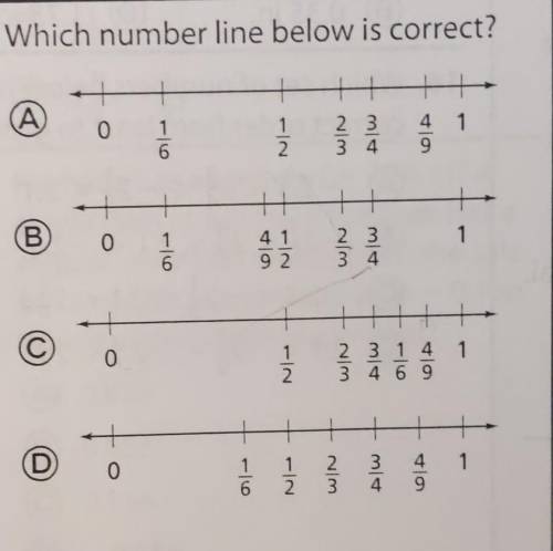 Which which number line below is correct?