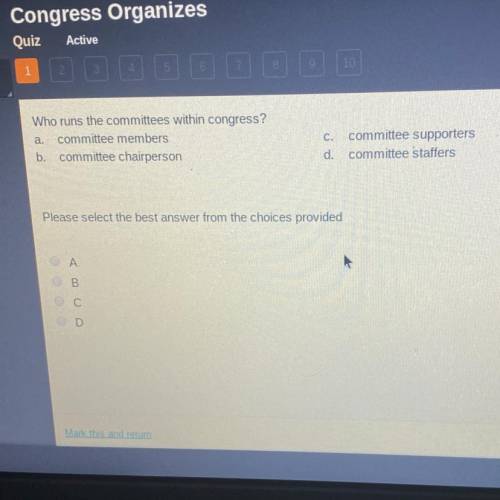 Who runs the committees within congress? a committee members b. committee chairperson committee supp