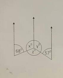 Solve for x°,y°,z° Any experts??