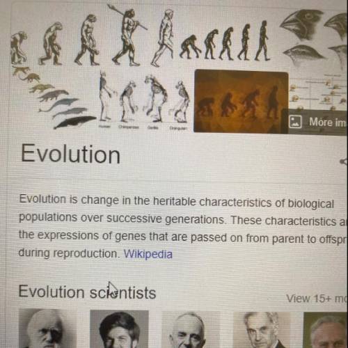 Decir que es evolution