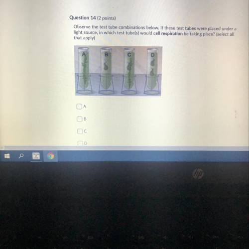 Observe the test tube combinations below. If these test tubes were placed under a light source, in w