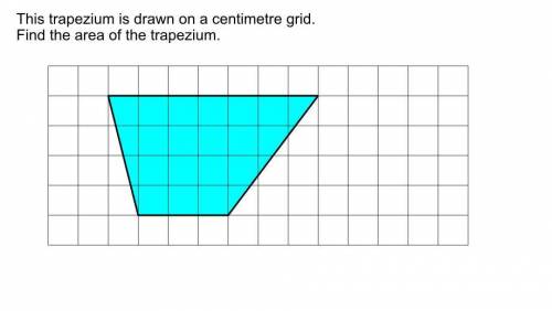 I need help -HOMEWORK