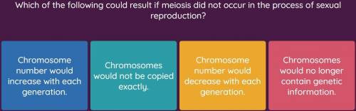 Which of the following could result if meiosis did not occur in the process of sexual reproduction.