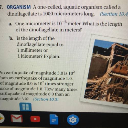 Plz help and explain for 10 points