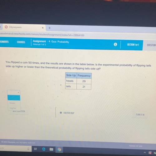 Can someone help please 11 points